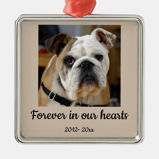 Dated Custom Foto Bulldog-Hund im Speicher Ornament Aus Metall (Vorne)