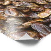 Daten Fotodruck (Ecke)