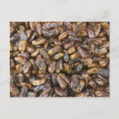 Daten Postkarte (Vorderseite)