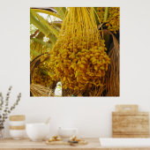 Daten zum Palm Tree Poster (Küche)