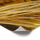 Daten zum Palm Tree Poster (Ecke)