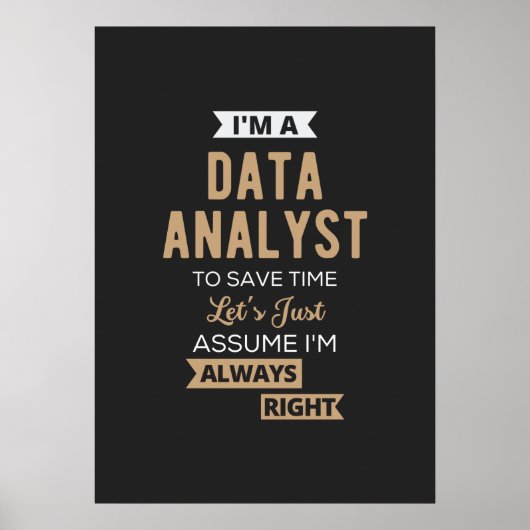 Datenanalyst Poster (Vorne)