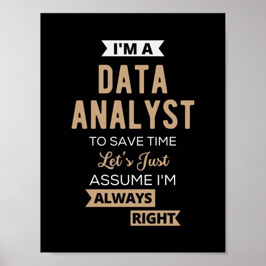 Datenanalyst Poster (Vorne)