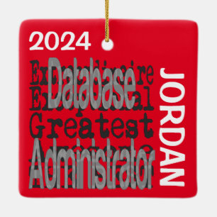 Datenbank Administrator Extraordinaire CUSTOM Keramikornament