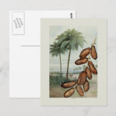 Dates Postkarte (Vorne/Hinten)