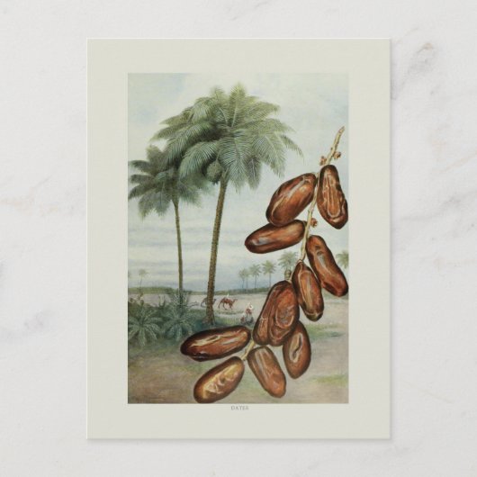Dates Postkarte (Vorderseite)