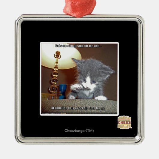 Dats ein kleiner Schrittpelz ich Silbernes Ornament (Vorne)