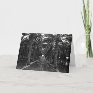 Dattelpalme-Waldung während Irrigation, 1966 Karte