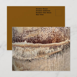 Dattelpalmenstamm-Textur Nahaufnahme-Foto Bild Postkarte