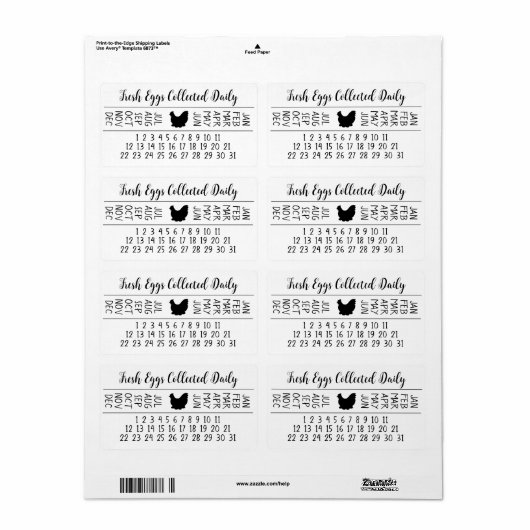 Datum der Kennzeichnung der Eier (Vorne)