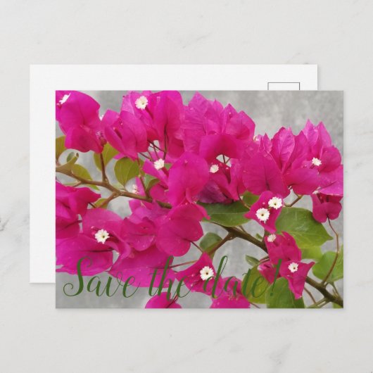 Datum freihalten! postkarte (Vorne/Hinten)