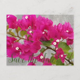 Datum freihalten! postkarte