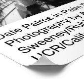 Datum Palmen in der Palmwüste von Ansel Adams Poster (Ecke)