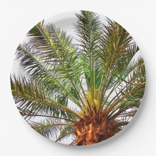 Datum Pappteller (Vorderseite)