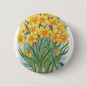 Datum RSVP Blumen Osterglocke gelb vintage Button