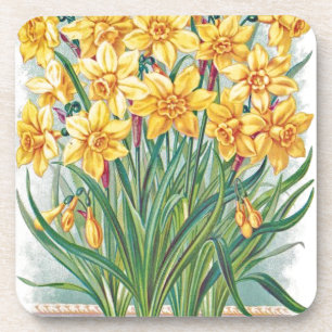 Datum RSVP Blumen Osterglocke gelb vintage Getränkeuntersetzer