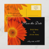 Datum speichern, Gerbera Ankündigungspostkarte (Vorne/Hinten)
