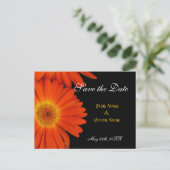 Datum speichern, Gerbera Ankündigungspostkarte (Stehend Vorderseite)