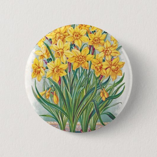 Datums-uAwg-Blumen-Narzissengelb Vintag Button (Vorderseite)
