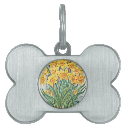 Datums-uAwg-Blumen-Narzissengelb Vintag Tiermarke (Vorderseite)