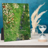 Daubignys Garten. Vincent van Gogh, schön Fotoplatte (Seite)