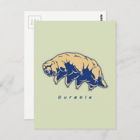 Dauerhaft - Tardigrade Postkarte (Vorne/Hinten)