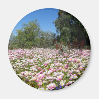 Dauerhafte Blume Magnet