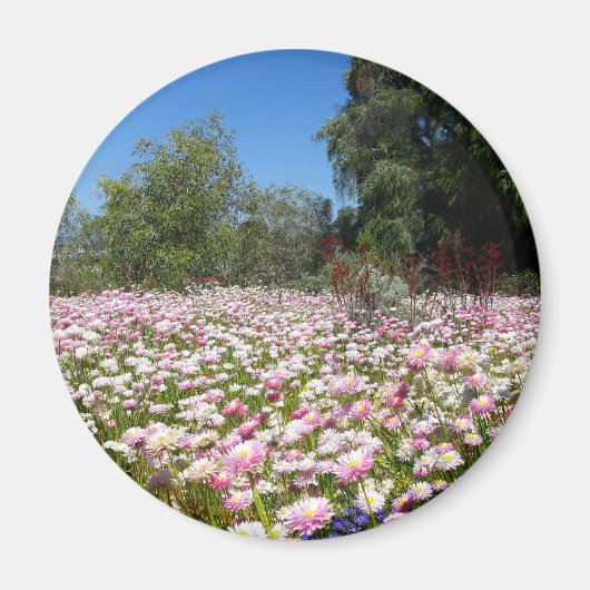 Dauerhafte Blume Magnet (Vorne)