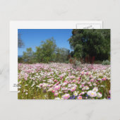 Dauerhafte Blume Postkarte (Vorne/Hinten)