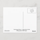 Dauerhafte Blume Postkarte (Rückseite)