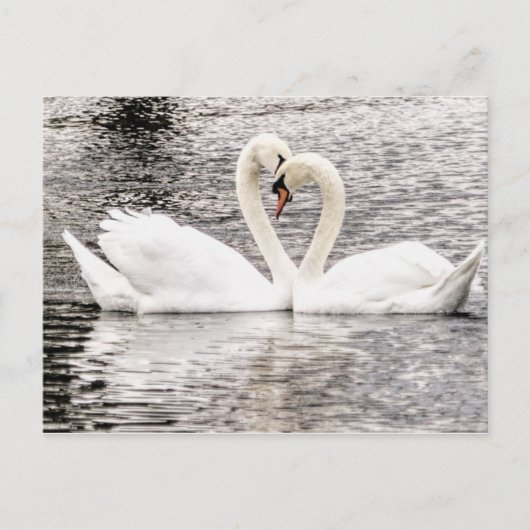 Dauerhafte Liebe Postkarte (Vorderseite)