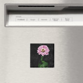 Dauerhafter Eindruck Magnet (In Situ (Geschirrspüler))