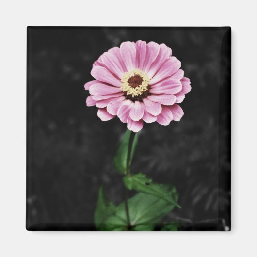 Dauerhafter Eindruck Magnet (Vorne)