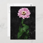 Dauerhafter Eindruck Postkarte (Vorne/Hinten)