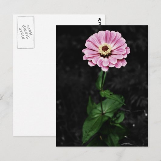 Dauerhafter Eindruck Postkarte (Vorne/Hinten)