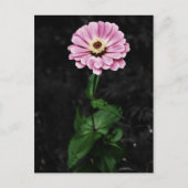 Dauerhafter Eindruck Postkarte (Vorderseite)