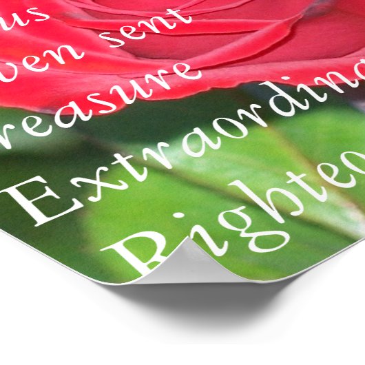 Daughter Poster (Ecke)