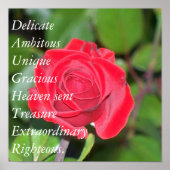 Daughter Poster (Vorne)