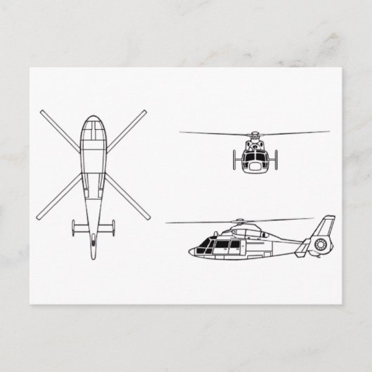 Dauphin2 Postkarte (Vorderseite)