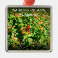 DAUPHIN-INSEL, ALABAMA