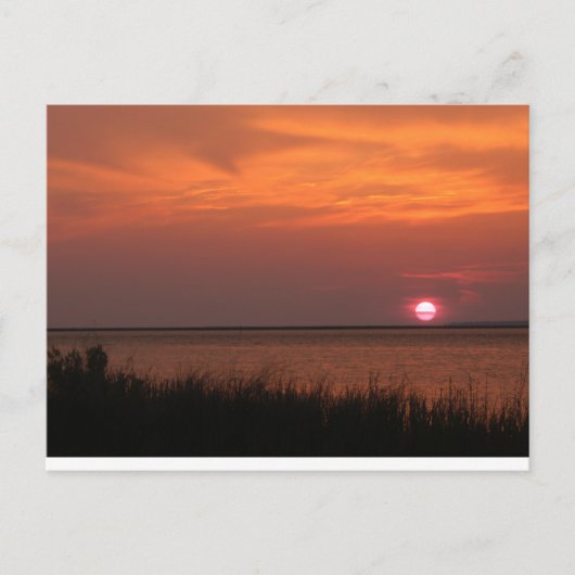 Dauphin Island, AL Sunset Postkarte (Vorderseite)