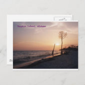 Dauphin Island Postkarte (Vorne/Hinten)