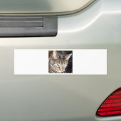Dave beobachtet dich autoaufkleber (Auf Auto)