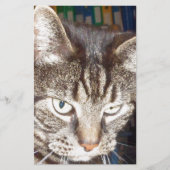 Dave beobachtet dich briefpapier (Vorderseite)