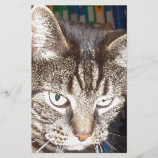 Dave beobachtet dich briefpapier (Vorderseite)