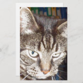 Dave beobachtet dich briefpapier (Vorne/Hinten)