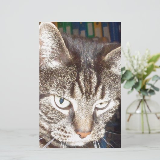 Dave beobachtet dich briefpapier (Stehend Vorderseite)