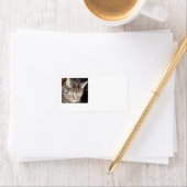 Dave beobachtet, wie Sie Labels adressieren Adressaufkleber (Insitu)