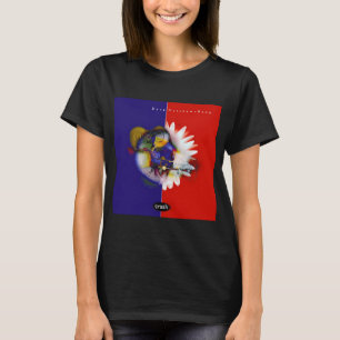 Dave Matthews Band Crash Classic T-Shirt