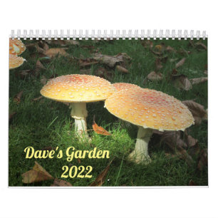 Dave’s Garden 2022 Calendar Kalender